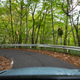 Illustration for article titled You Need to Visit This Hidden Driving Road In Japan